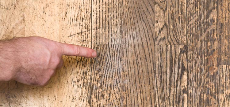 Wood Door Scratch Repair in Monterey
